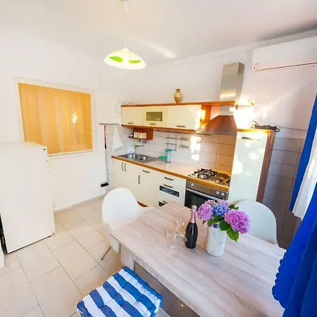 Borik * Ζαντάρ