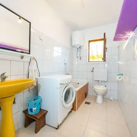 Borik * Ζαντάρ